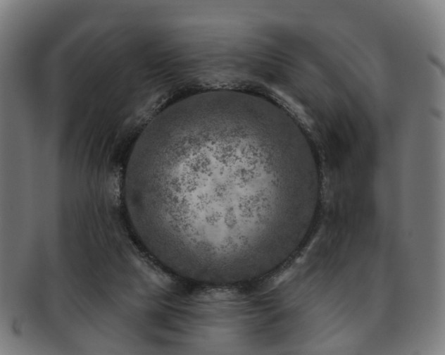 X0000091890065200709051351