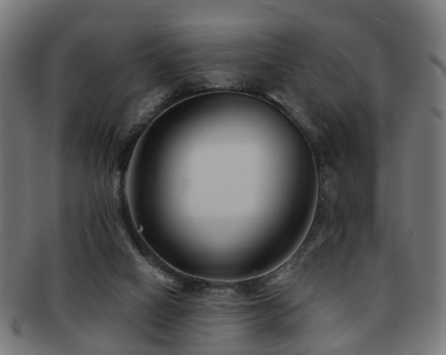 X0000091890066200709051351