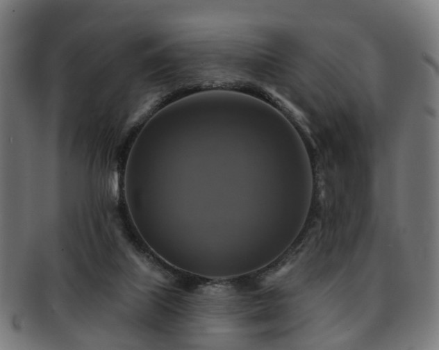 X0000091890067200709051351