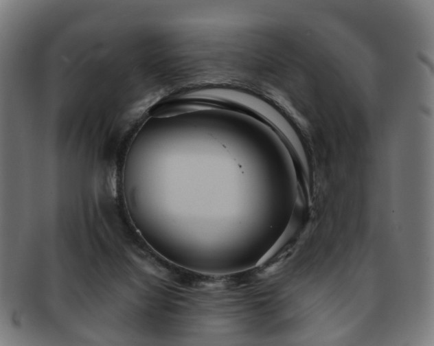 X0000091890068200709051351