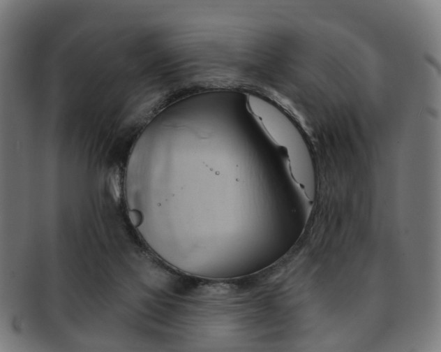 X0000091890069200709051351