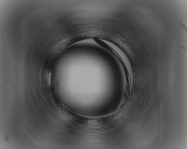 X0000091890070200709051351