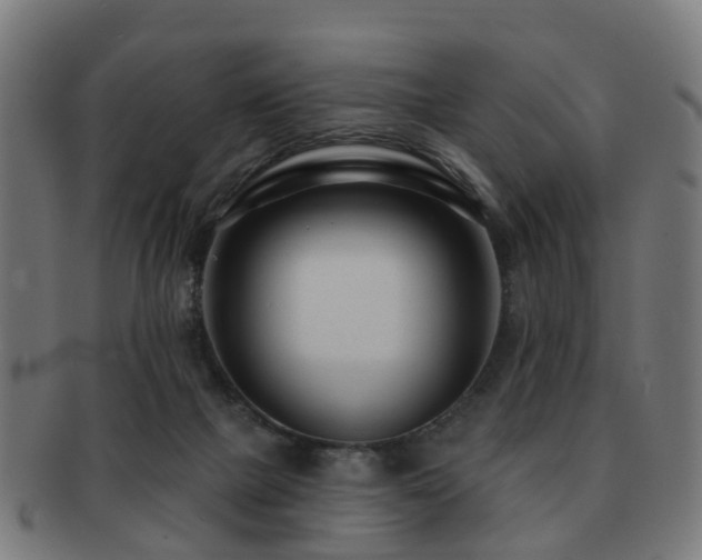 X0000091890073200709051351