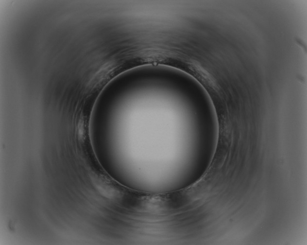 X0000091890074200709051351