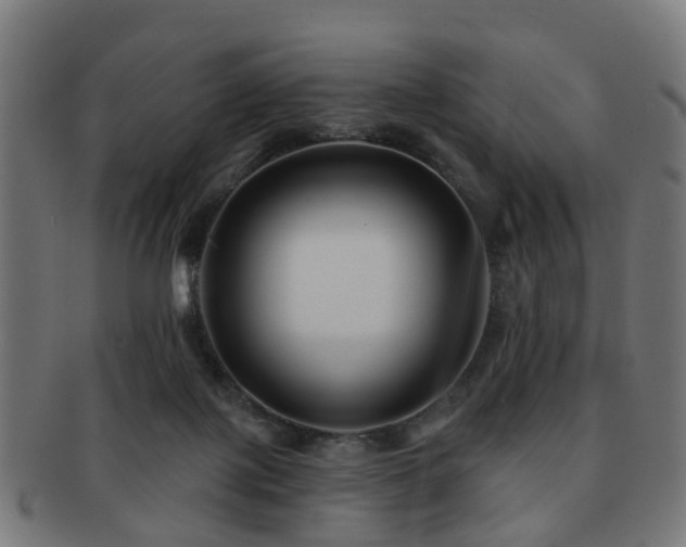 X0000091890075200709051351