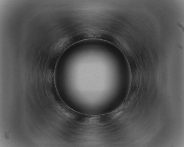 X0000091890078200709051351