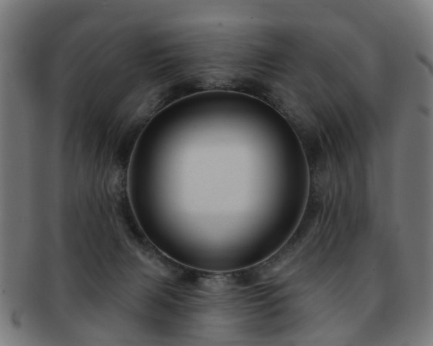 X0000091890079200709051351