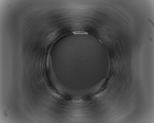 X0000091890080200709051351
