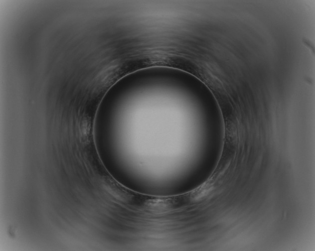 X0000091890082200709051351