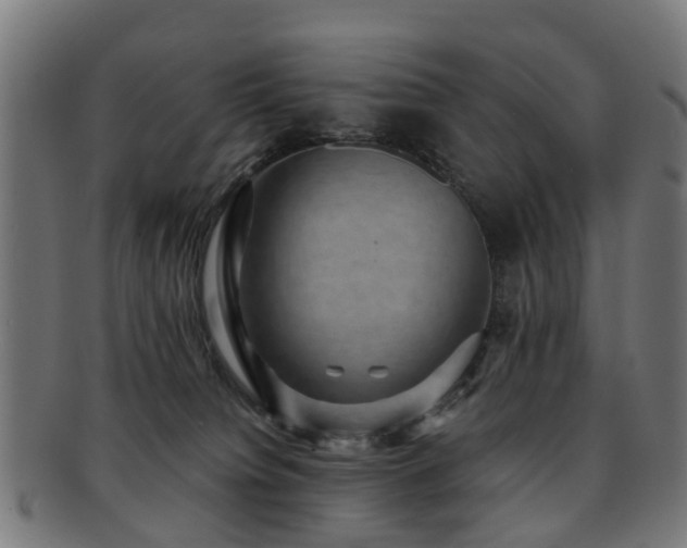 X0000091890084200709051351