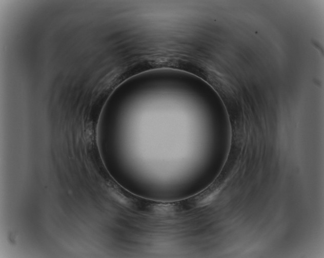 X0000091890085200709051351