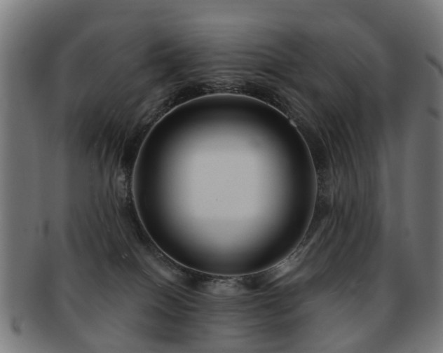 X0000091890086200709051351