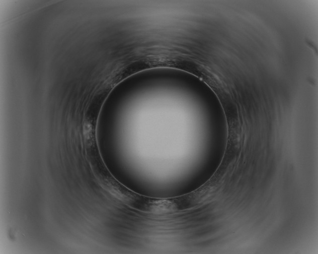 X0000091890087200709051351