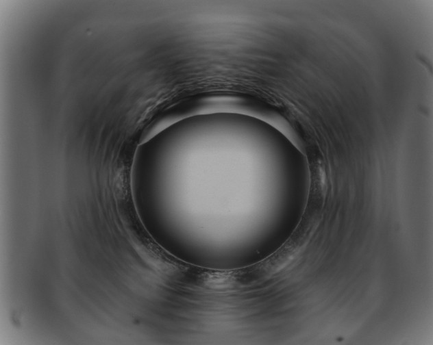 X0000091890088200709051351