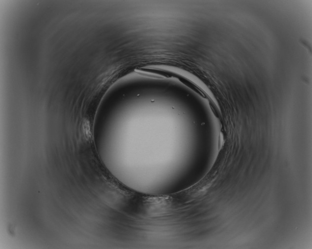 X0000091890089200709051351