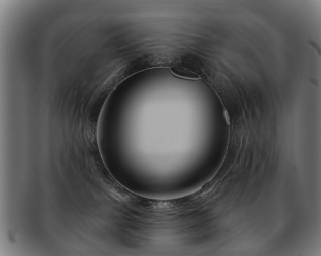 X0000091890091200709051352