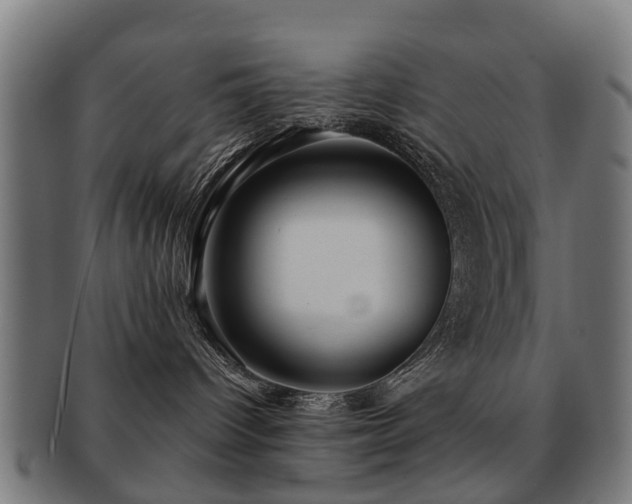 X0000091890096200709051352