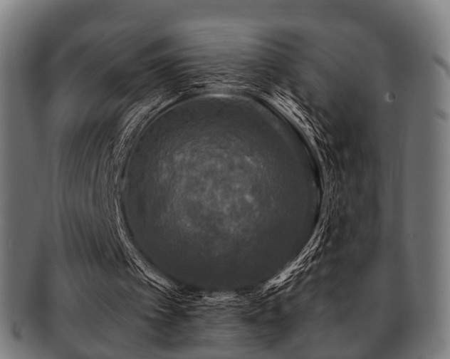 X0000091890097200709051351
