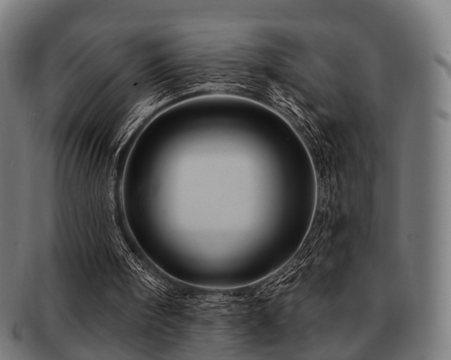 X0000091890098200709051351