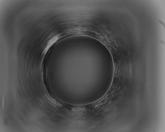 X0000091890099200709051351