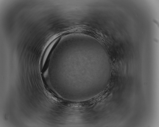 X0000091890100200709051351