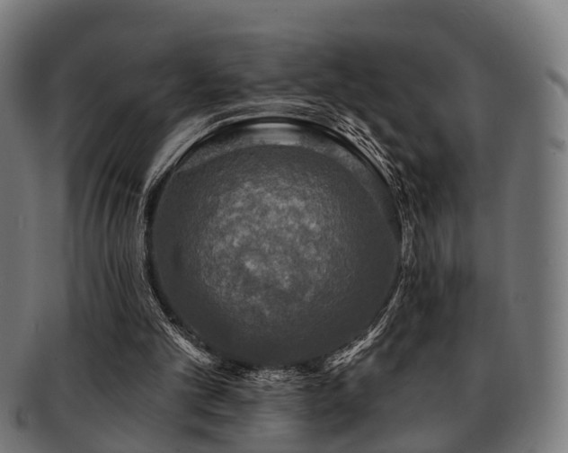 X0000091890101200709051351
