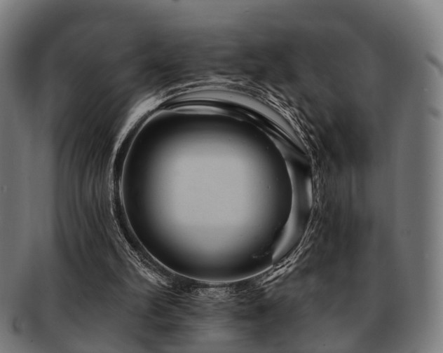 X0000091890102200709051351