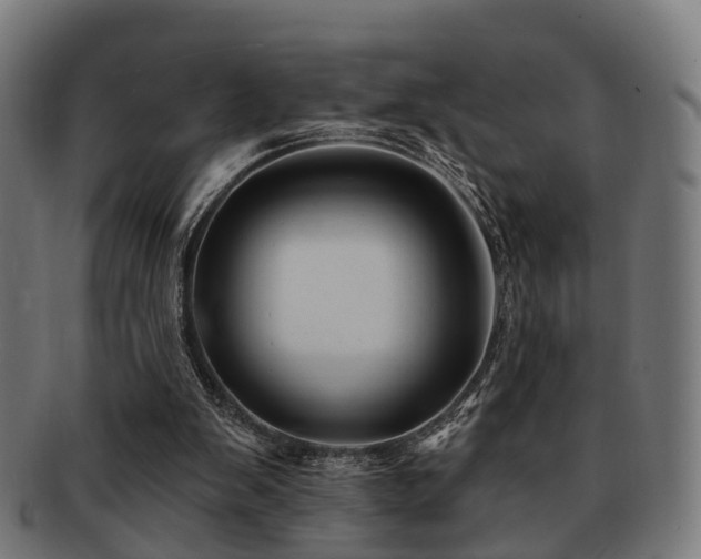 X0000091890103200709051351