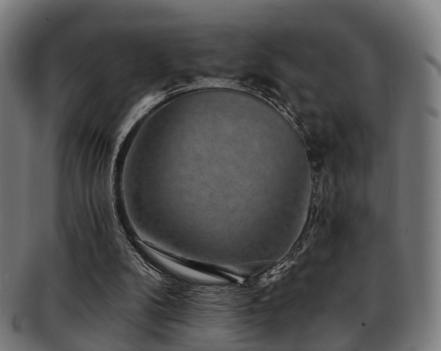 X0000091890104200709051351