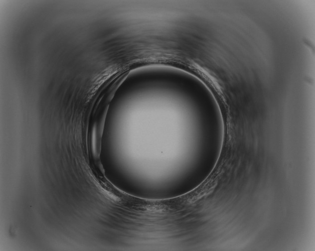 X0000091890105200709051351