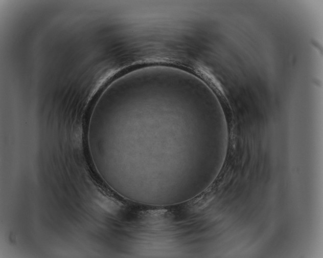 X0000091890108200709051351