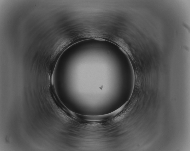 X0000091890109200709051351