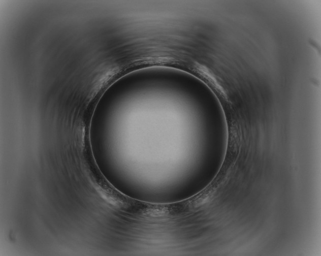 X0000091890110200709051351