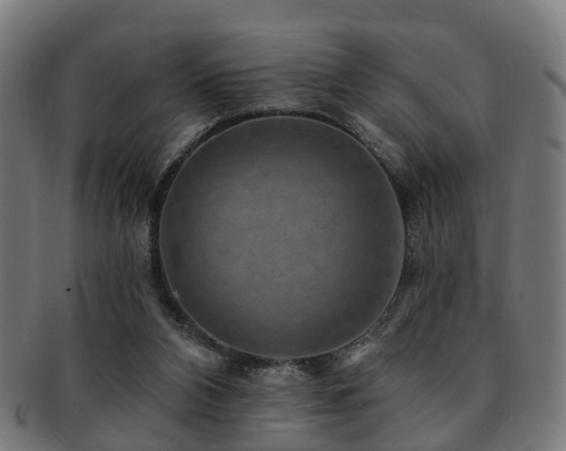 X0000091890112200709051351