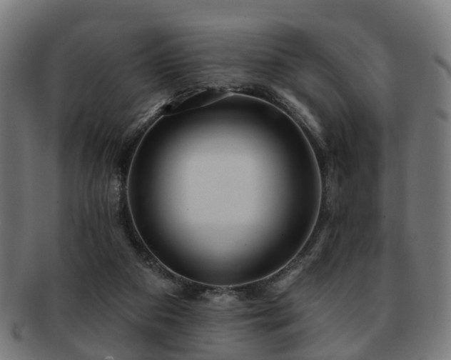 X0000091890113200709051351
