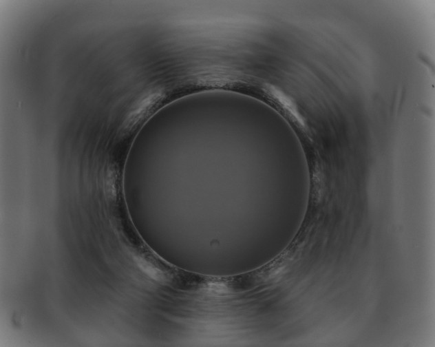 X0000091890114200709051351
