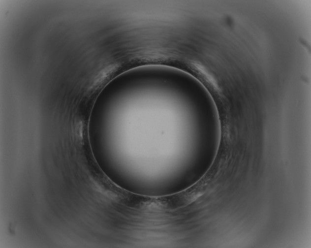 X0000091890115200709051351