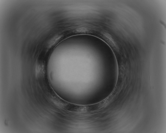 X0000091890116200709051351