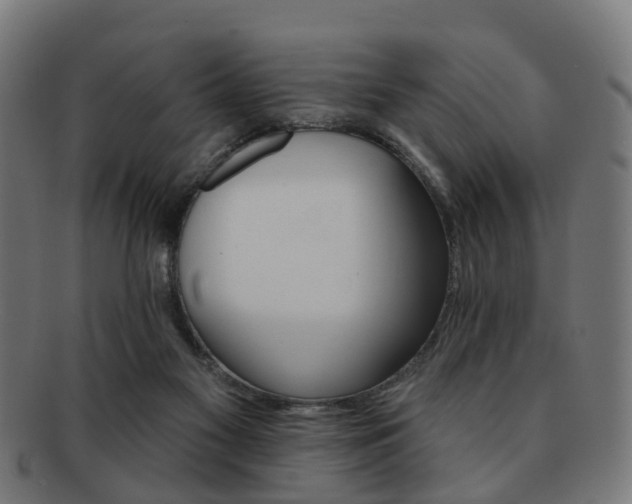 X0000091890117200709051351