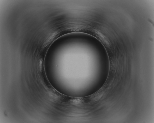 X0000091890118200709051351