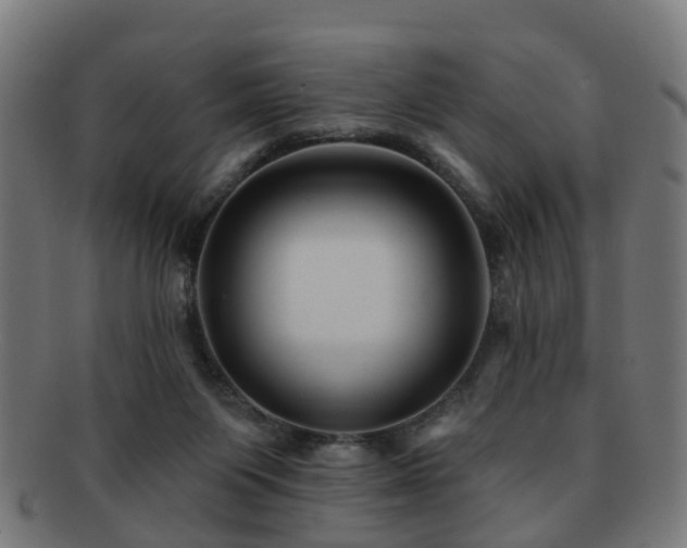 X0000091890119200709051351
