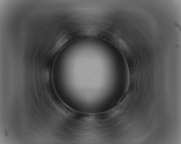 X0000091890120200709051351