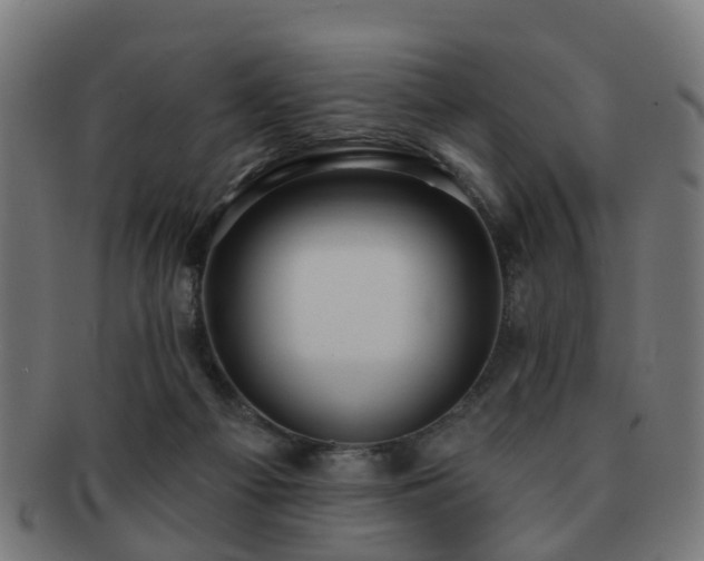 X0000091890121200709051351
