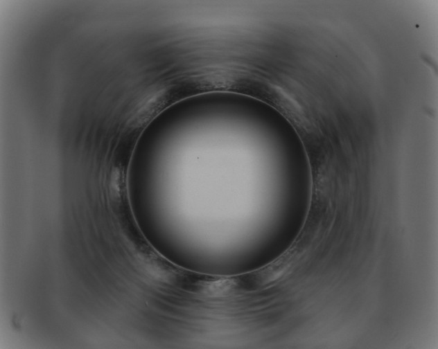 X0000091890122200709051351