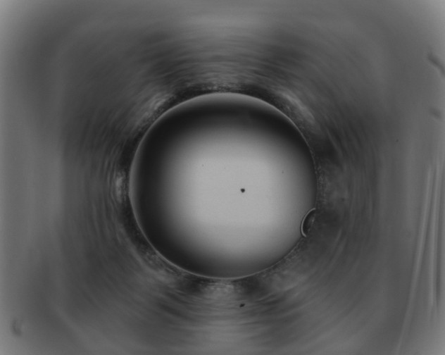 X0000091890123200709051351
