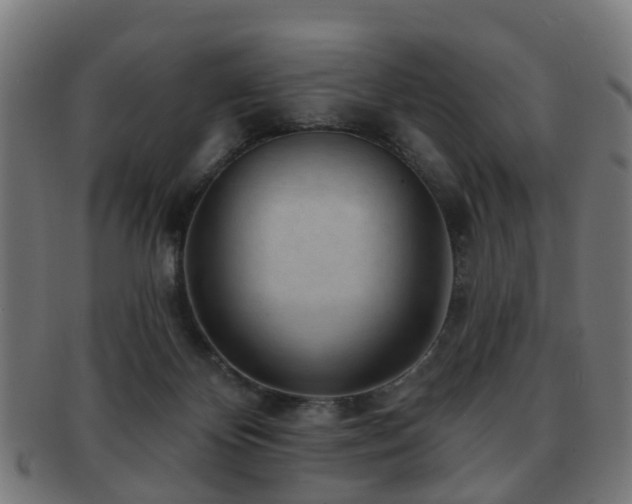 X0000091890124200709051351