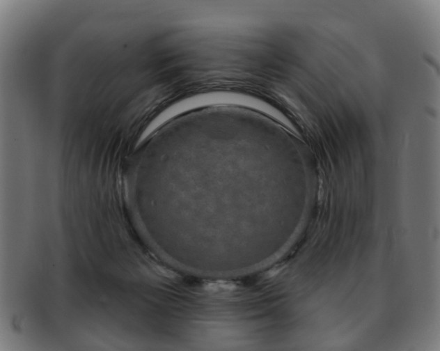 X0000091890125200709051351
