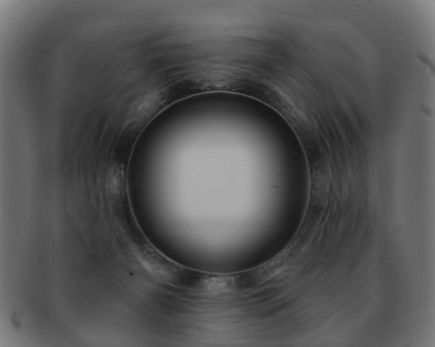 X0000091890126200709051351