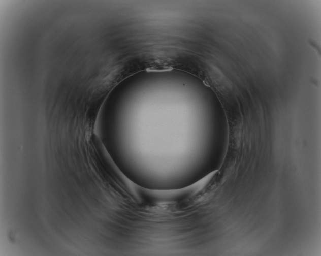 X0000091890129200709051351
