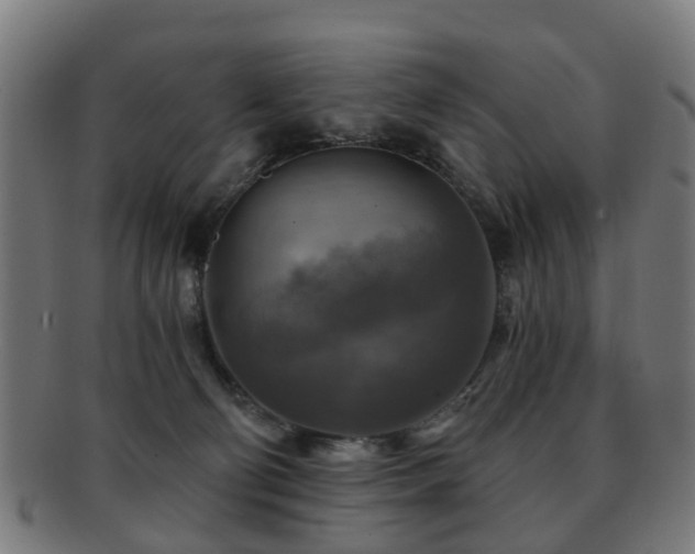X0000091890130200709051351